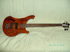 Fretless Ricky Cheynne bass with Gibson Thunderbird Deep Sixx pickups